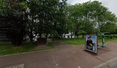 Picard Cedric Michael, Taxi à Chennevières-sur-Marne