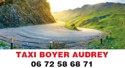 TAXI BOYER Audrey, Taxi à Ponteils-et-Brésis