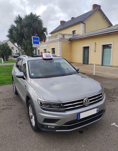 Alcyon Taxi Presqu'ile 44, Taxi au Pouliguen
