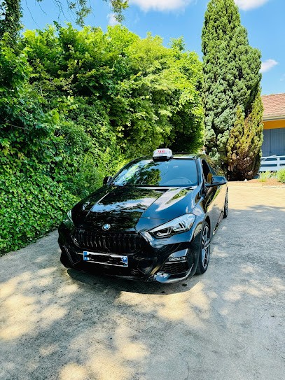 Taxi Hedine Givors, Taxi à Givors