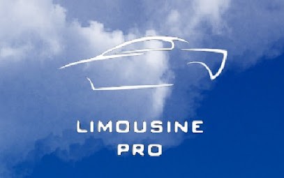 LIMOUSINE PRO, Taxi à Saint-Jean-du-Cardonnay