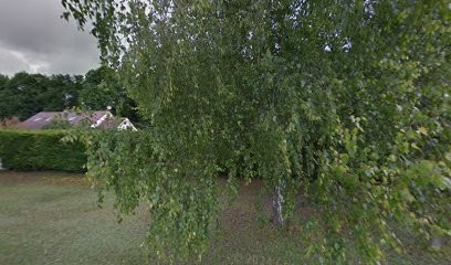 Billaut Philippe, Taxi à Germigny-l'Évêque