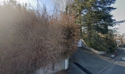 FRANK TAXI, Taxi à Ternay