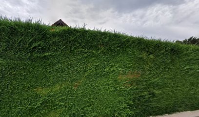 Aubertinaz Gérard, Taxi à Divonne-les-Bains