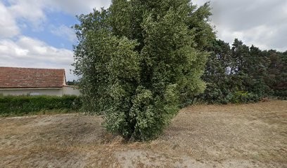 Taxi du Fort, Taxi à Saint-Geniès-de-Comolas
