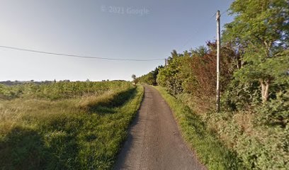 taxi lux, Taxi à Lux