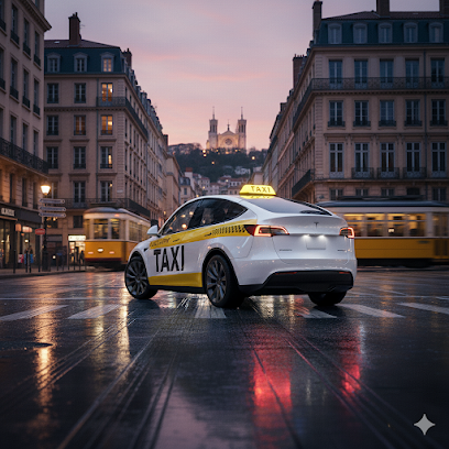 Taxiopandgo, Taxi à Vaulx-en-Velin