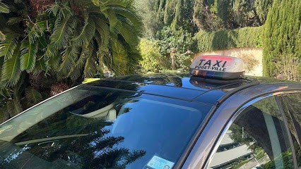 Taxi Lionel SARL, Taxi à La Farlède