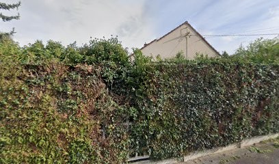 Rue Patrick, Taxi à Thorigny-sur-Marne