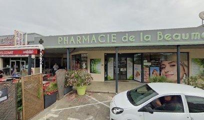 Monsieur Michel Laganier, Taxi à Joyeuse
