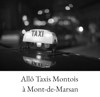 Allô Taxi Montois, Taxi à Mont-de-Marsan