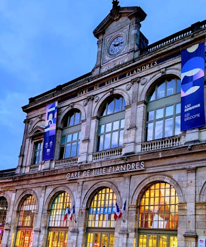 Allo Chauffeur Taxi & Vtc, Taxi à Lille