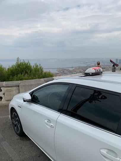 CHEKIR TAXI, Taxi à Villeneuve-le-Roi