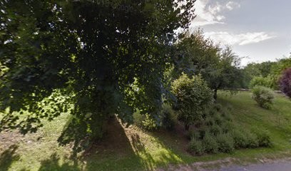 FF-Limousine, Chauffeur Particulier VTC à Combloux