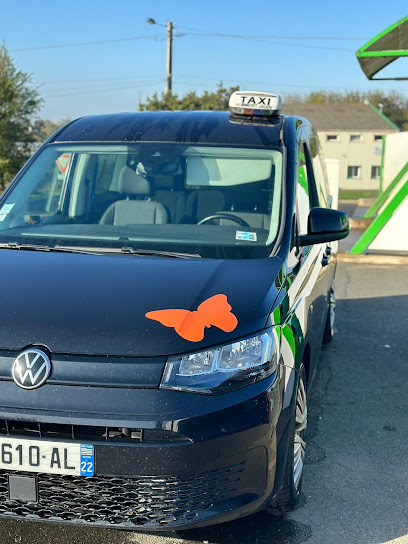 Taxis Geffroy, Taxi à Pleubian