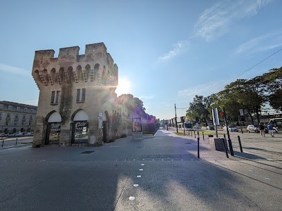 Taxi Provencal, Taxi à Avignon