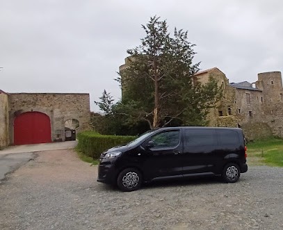 GB PRO VTC - ALTERNATIVE TAXIS, Taxi à Montournais