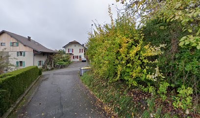 Taxi Du Lac, Taxi à Évian-les-Bains