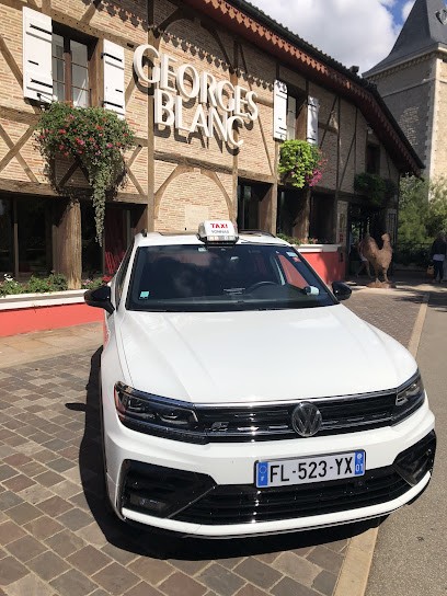 Allo Taxis Vonnassiens :Taxi VSL - Vonnas - Crottet - Saint-Cyr - Biziat, Taxi à Vonnas