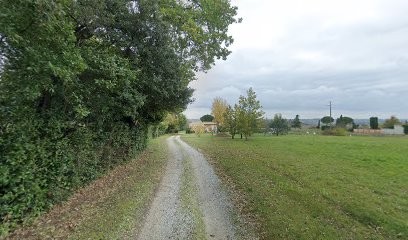 Patey William, Taxi à Vallesvilles