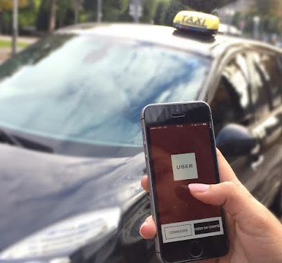 Chauffeur 83, Taxi à Toulon