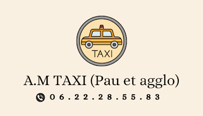 Taxi Go 64, Taxi à Pau