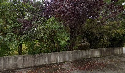 Gros Gilbert, Taxi à Pontarlier