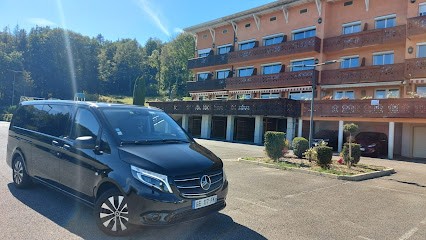 Luxe Van Transport, Taxi à Saint-Genis-Pouilly
