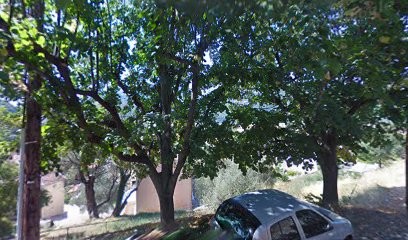 Froget Frederic Jean Raymond, Taxi à Saint-Martin-du-Var