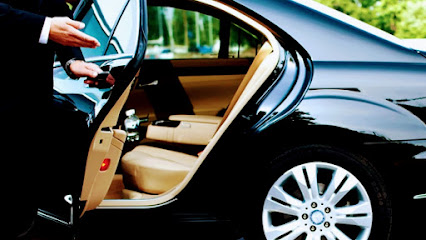 Tachet Prestige, Taxi à Lille