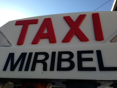 Marion Taxi Miribel La Côtière, Taxi à Saint-Maurice-de-Beynost