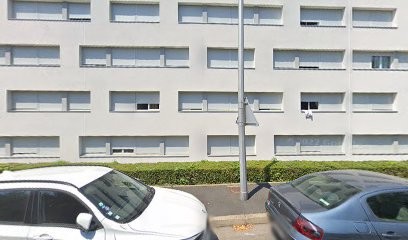 King 69 Vtc, Taxi à Saint-Étienne