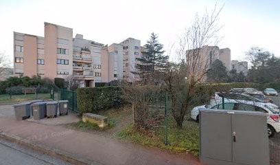 Magotte Nicolas, Taxi à Décines-Charpieu