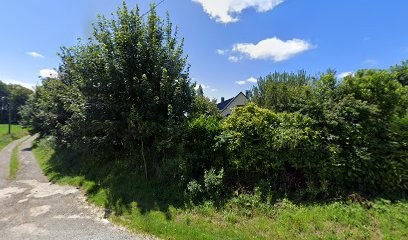 Da Silva Armindo, Taxi à Saint-Sauveur-d'Émalleville