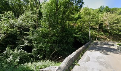 Chamoux Gérard, Taxi à Châteauneuf